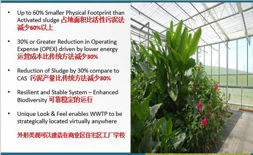 技術(shù)交流 會(huì)生長(zhǎng)的污水廠——FCR花園式污水處理技術(shù)解析